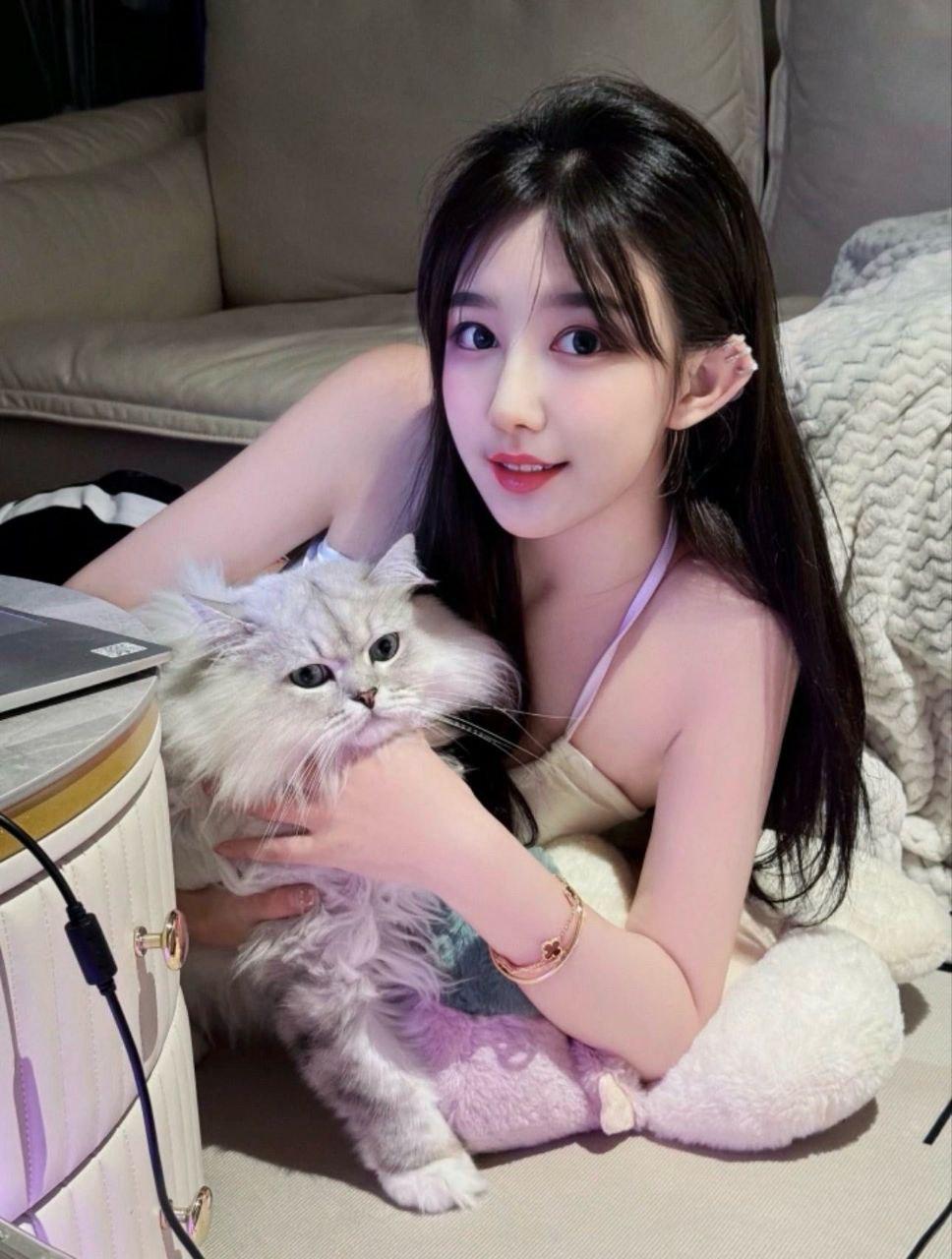成都品茶，五感交织的绝妙盛宴